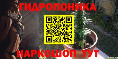 ECSTASY Краснознаменск