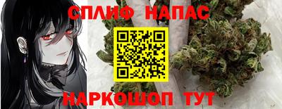 дмт Краснодар