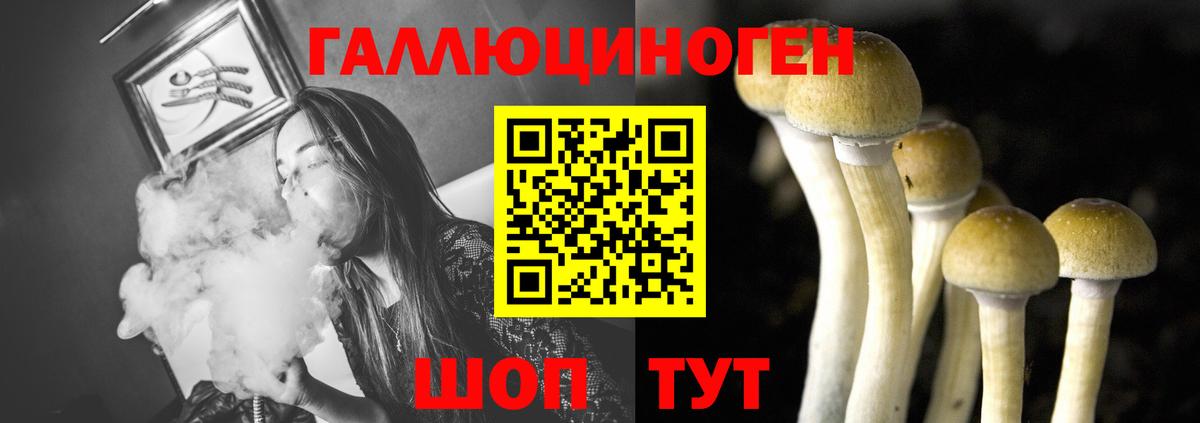Корсаков  Галлюциногенные грибы Cubensis  Вход с VPN 